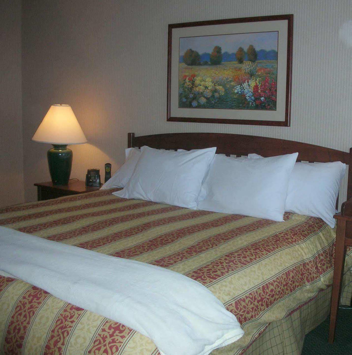 Homewood Suites By Hilton Kansas City Airport Camera foto